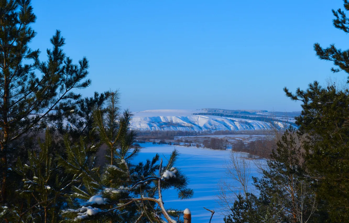 Photo wallpaper winter, snow, landscape, beautiful, pine, Tatarstan, Nizhnekamsk, forest. nature