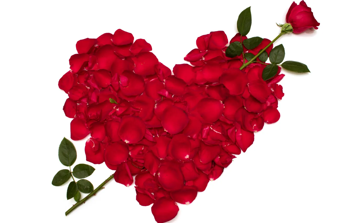 Photo wallpaper love, flowers, red, heart, roses, petals, hearts, recognition
