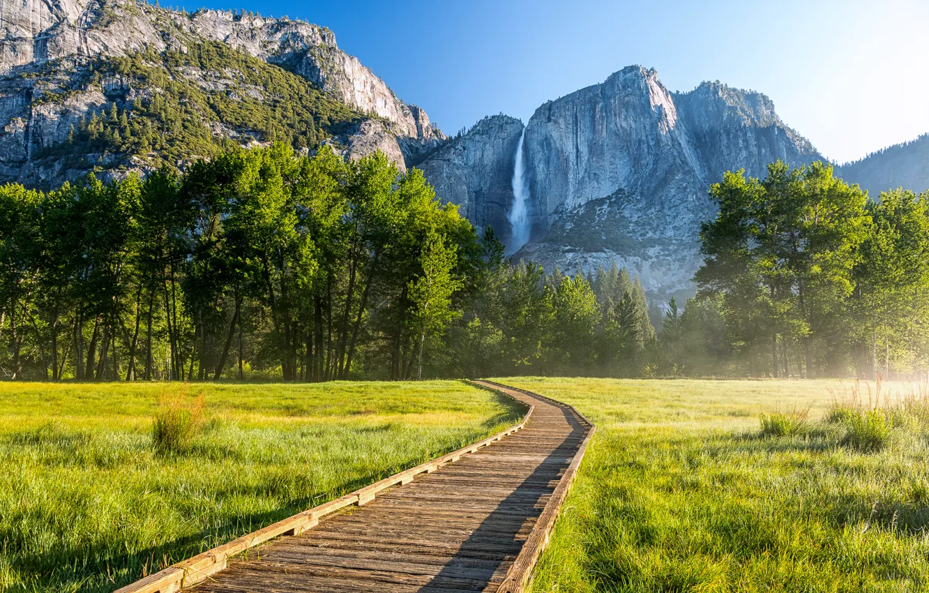 Photo wallpaper forest, trees, mountains, waterfall, CA, track, USA, Yosemite National Park