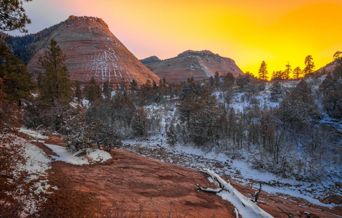 Photo wallpaper colors, Zion National Park, autumn