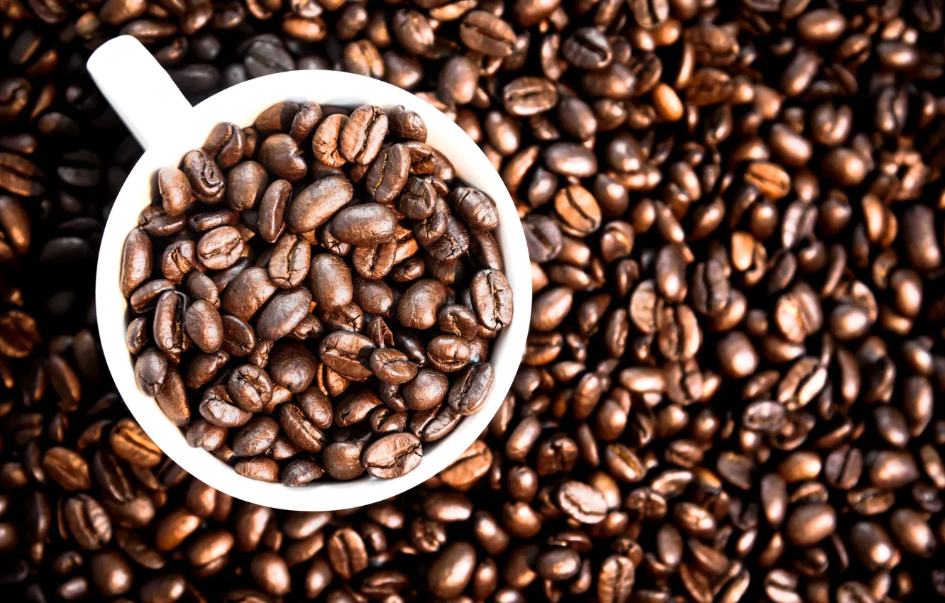 Photo wallpaper background, coffee, grain, Cup, texture, background, cup, beans