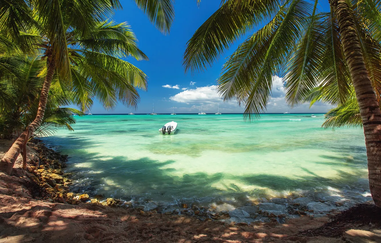 Photo wallpaper sand, sea, beach, the sky, blue, palm trees, shore, boat