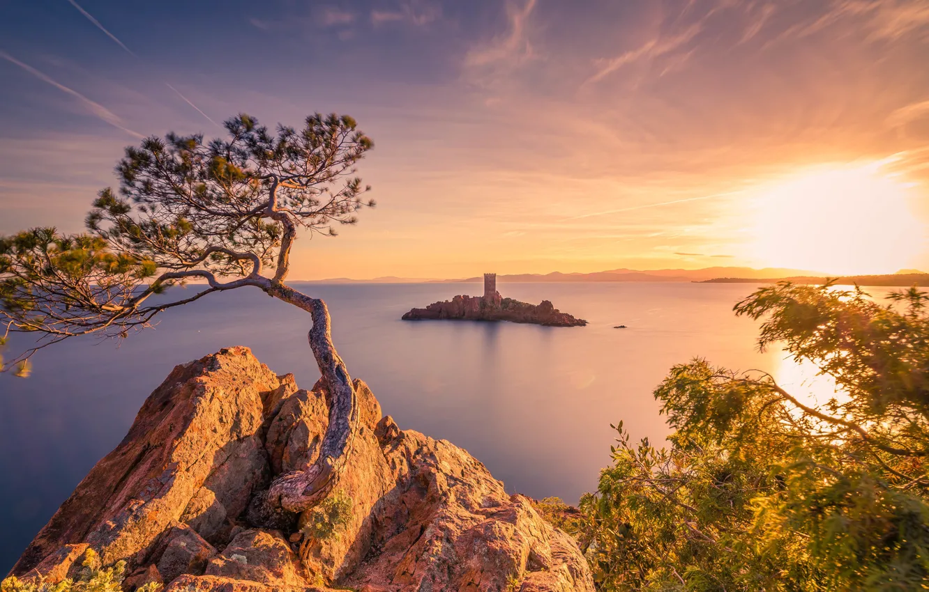 Photo wallpaper sea, the sky, the sun, clouds, rays, light, trees, sunset