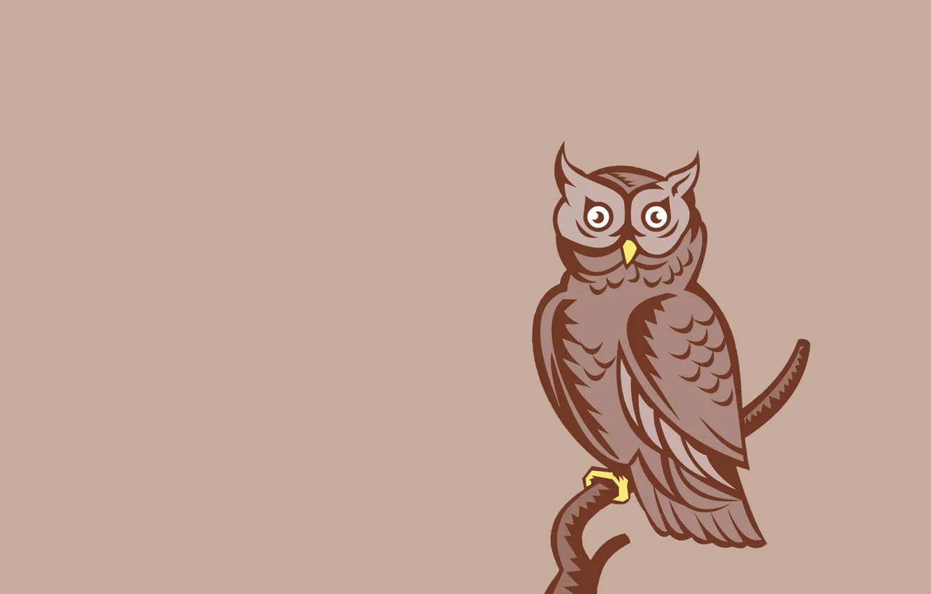 Photo wallpaper owl, bird, minimalism, branch, light background, owl