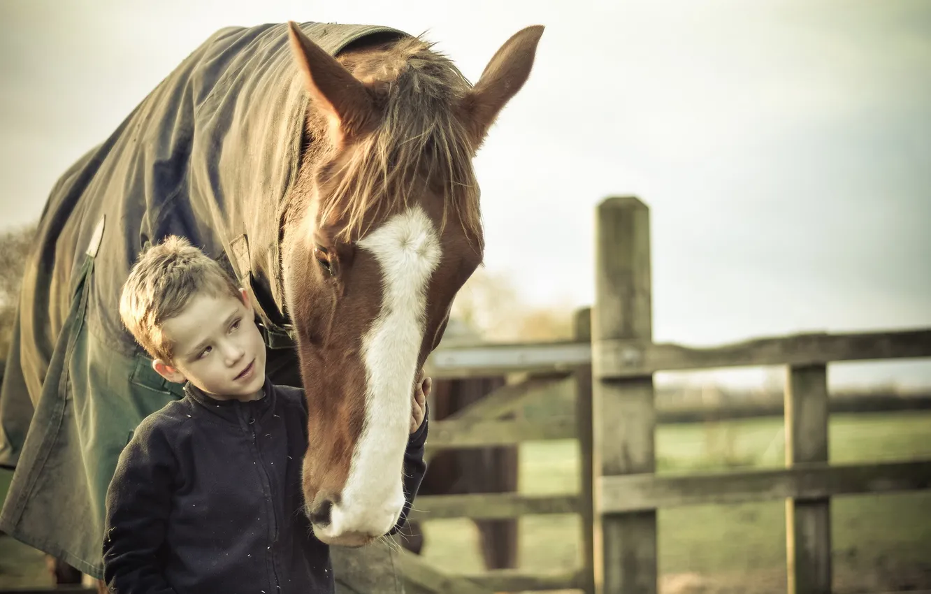 Photo wallpaper mood, horse, Malchik