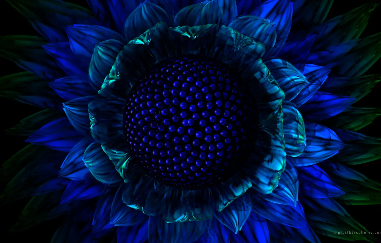 Photo wallpaper flower, blue, graphics