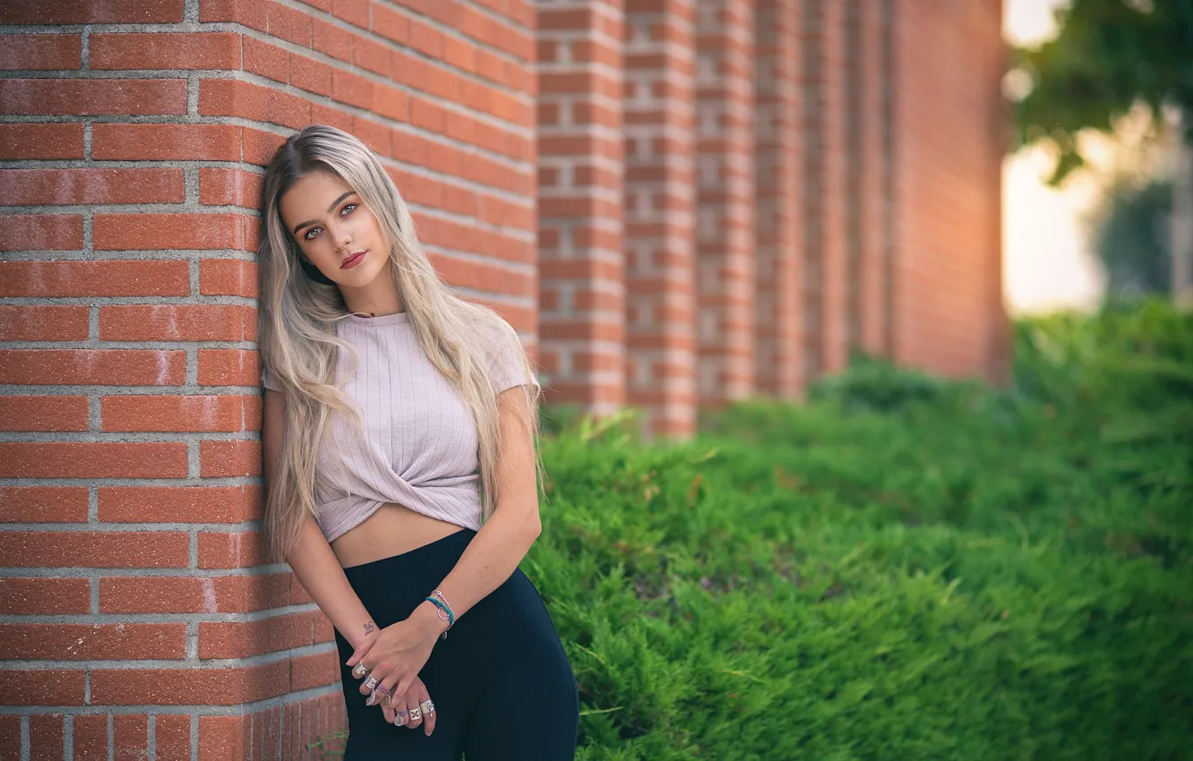 Photo wallpaper look, girl, pose, hair, blonde