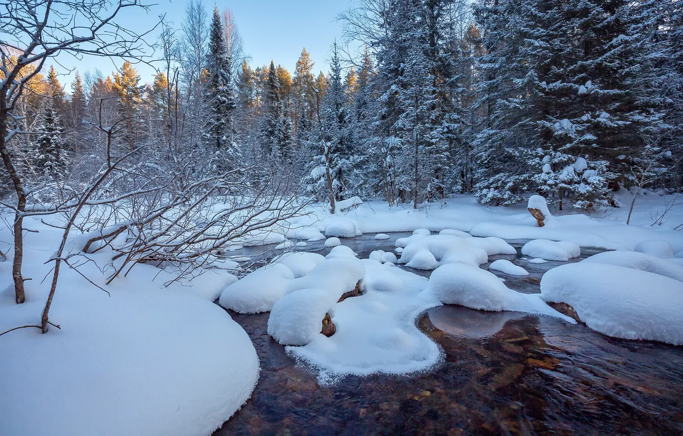 Photo wallpaper winter, forest, snow, trees, river, Evdokimov Sergey