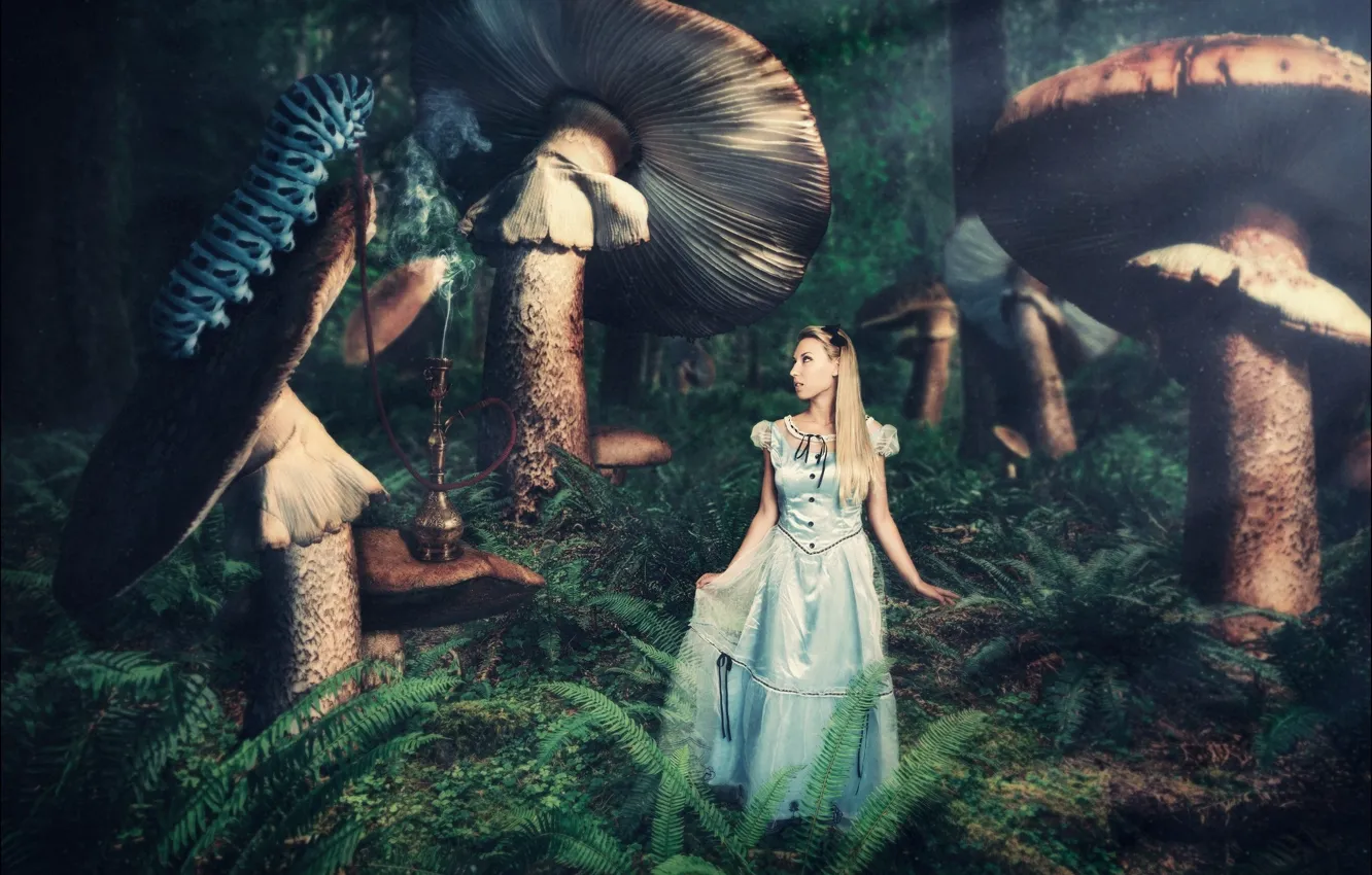 Photo wallpaper girl, caterpillar, mushrooms, fantasy, Alice in chedes does, photoart