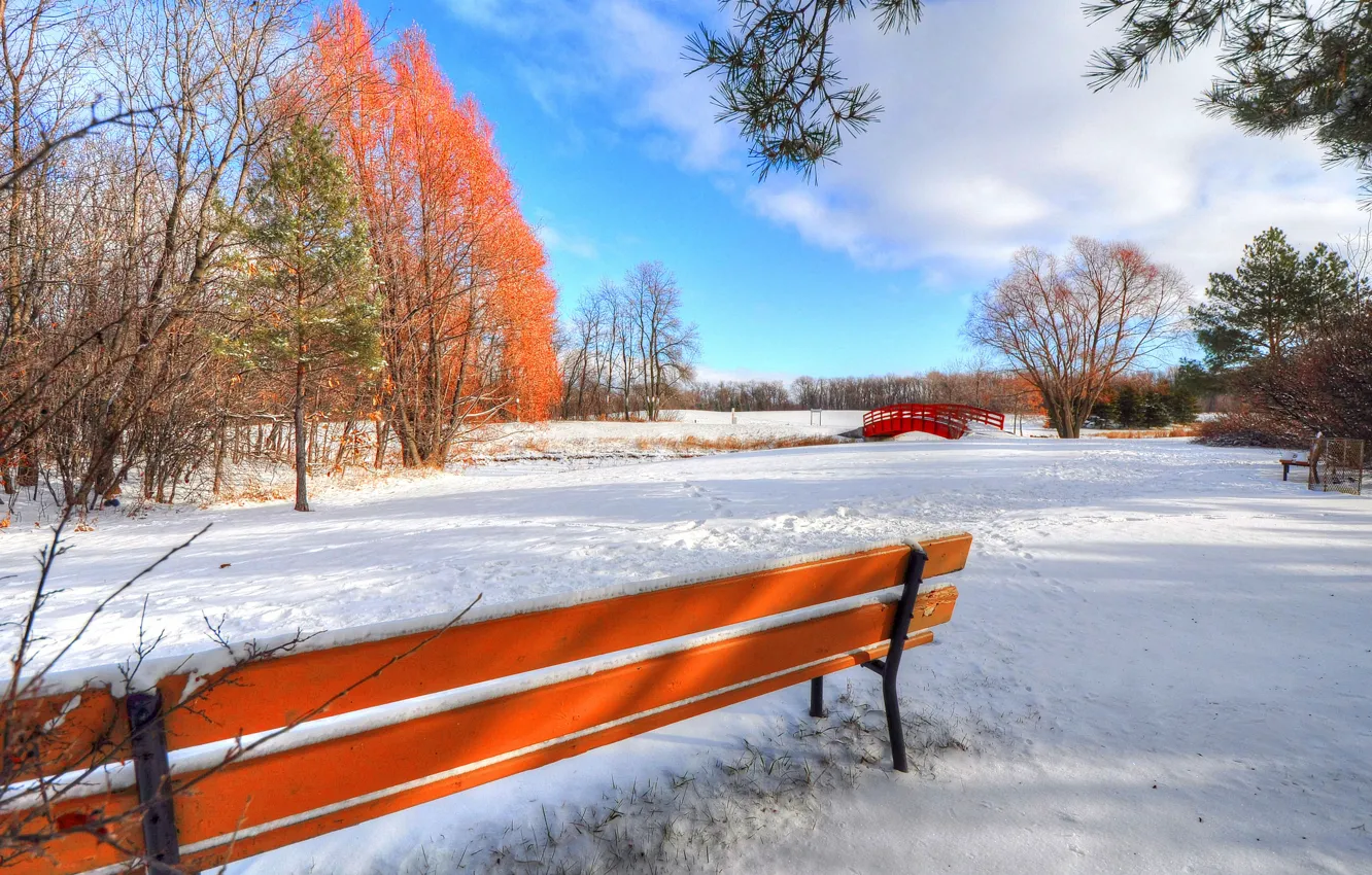 Photo wallpaper the sky, leaves, clouds, snow, trees, bridge, Park, bench