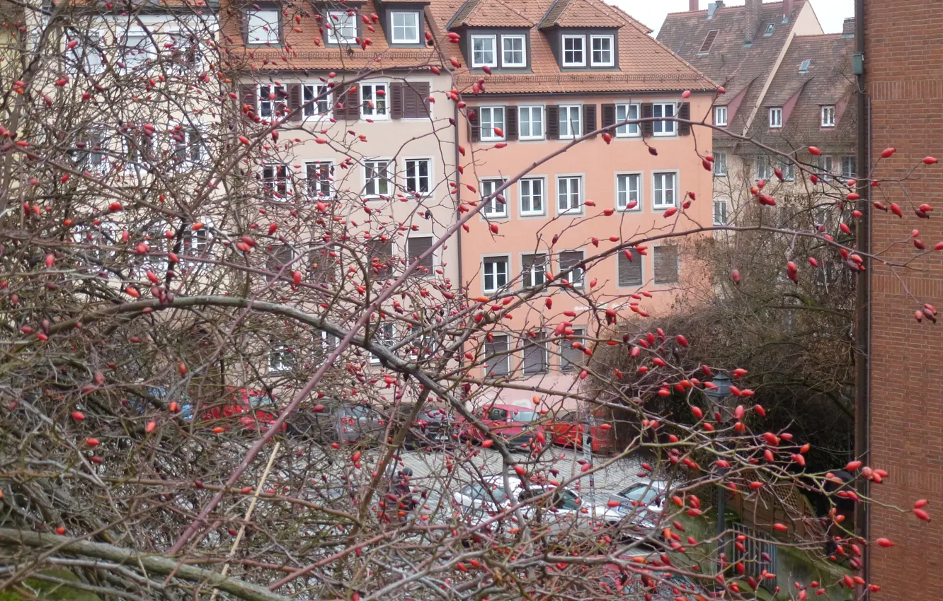 Photo wallpaper winter, the city, house, Nuremberg, tees