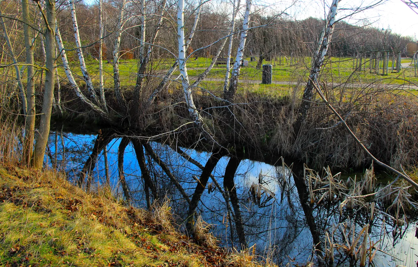 Photo wallpaper river, trees, water, park