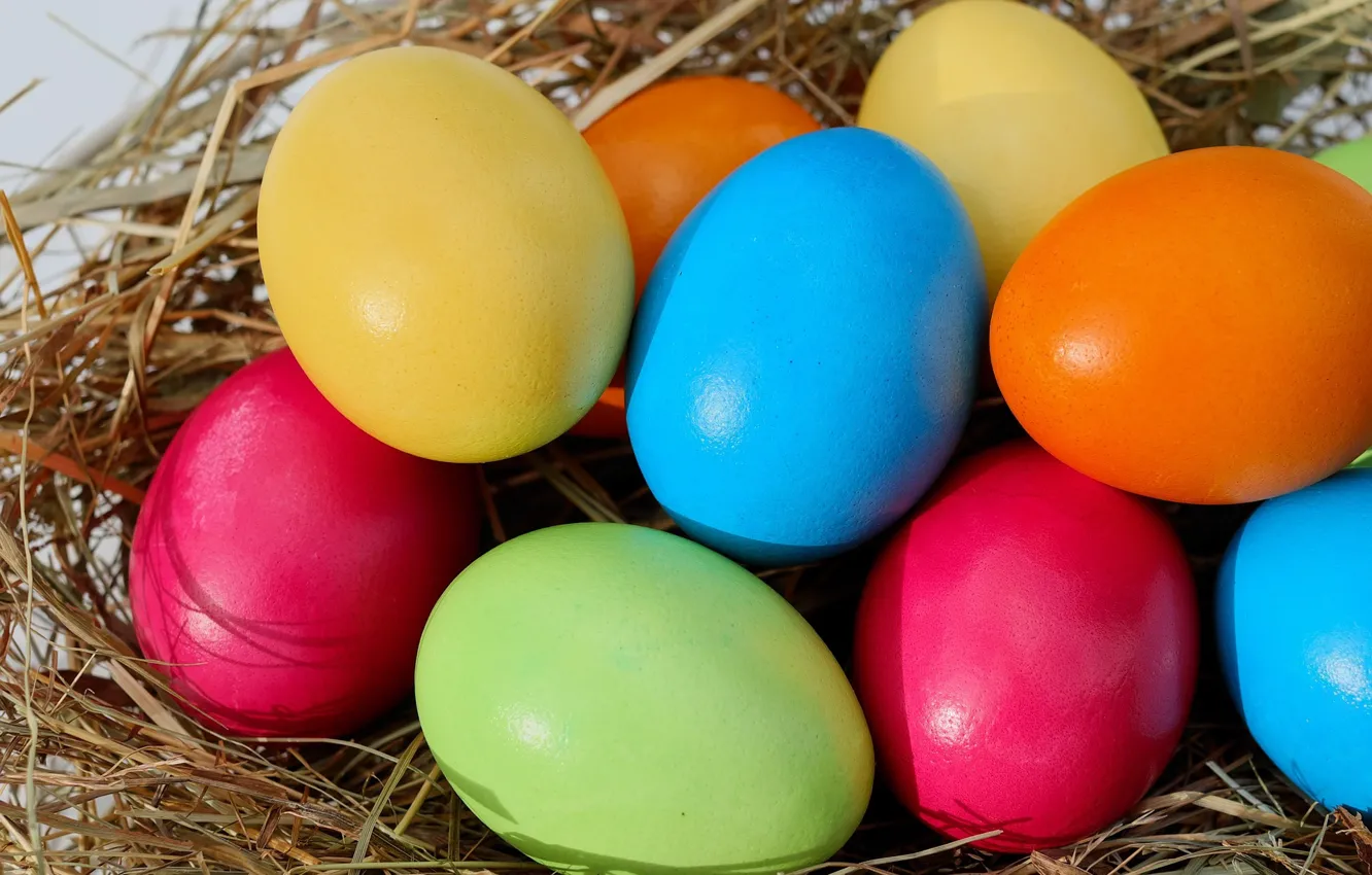 Photo wallpaper eggs, Easter, hay, colorful, eggs