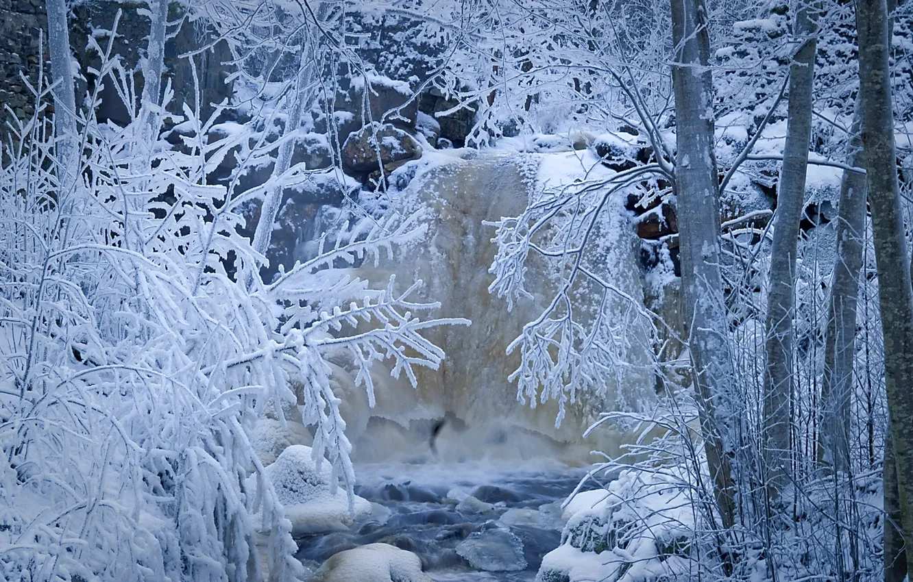 Photo wallpaper winter, frost, forest, snow, trees, stream, river, Sweden