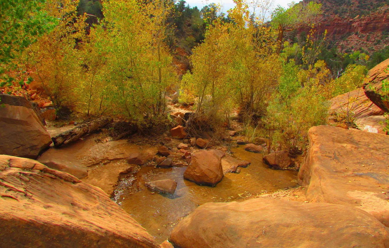 Photo wallpaper autumn, trees, river, stream, stones, rocks