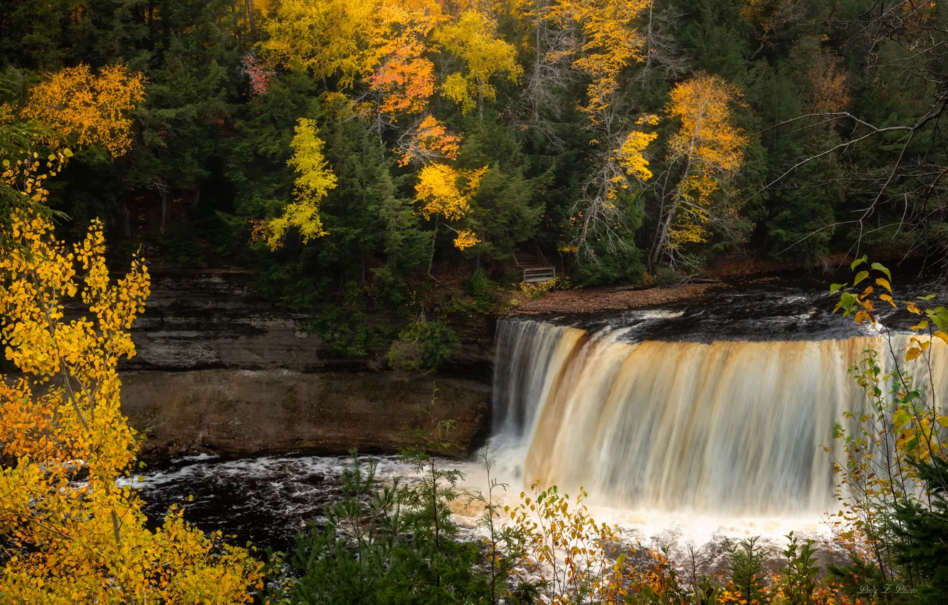 Photo wallpaper autumn, forest, trees, river, waterfall, Michigan, Michigan, Tahquamenon Falls State Park
