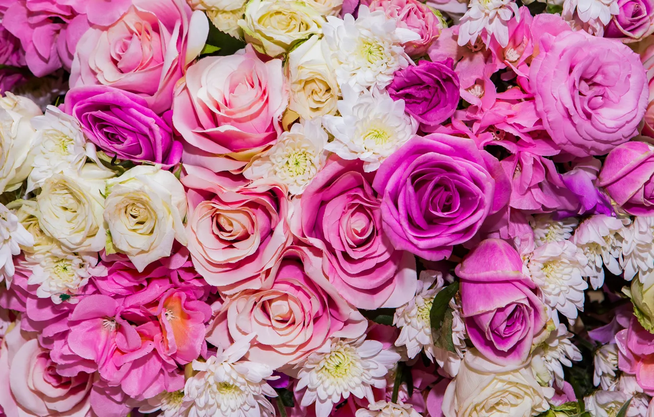 Photo wallpaper flowers, background, roses, colorful, pink, white, white, buds