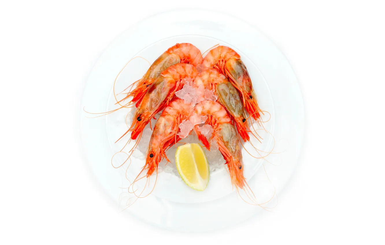 Photo wallpaper lemon, ice, plate, shrimp, seafood