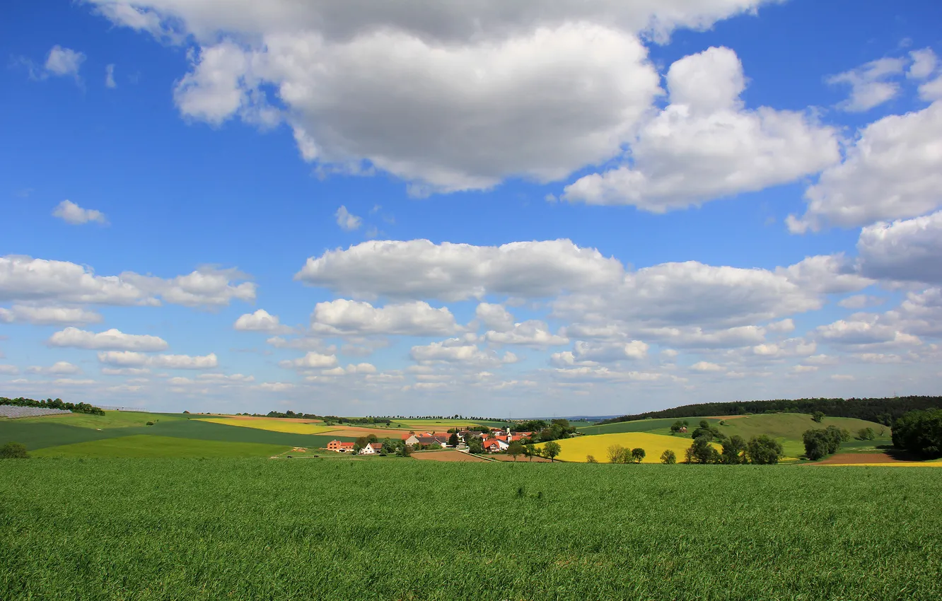 Photo wallpaper field, the sky, clouds, trees, hills, home