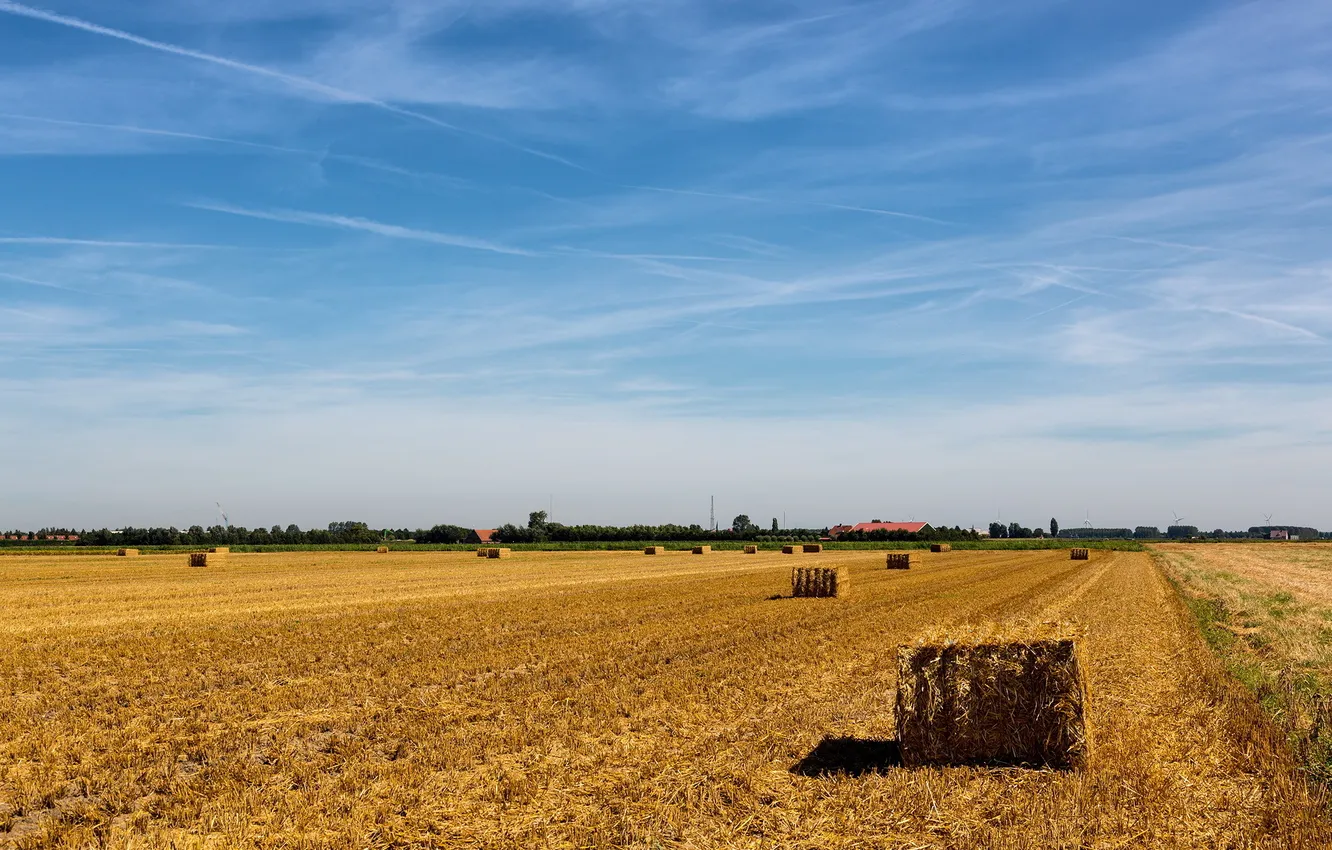 Photo wallpaper field, summer, landscape, hay