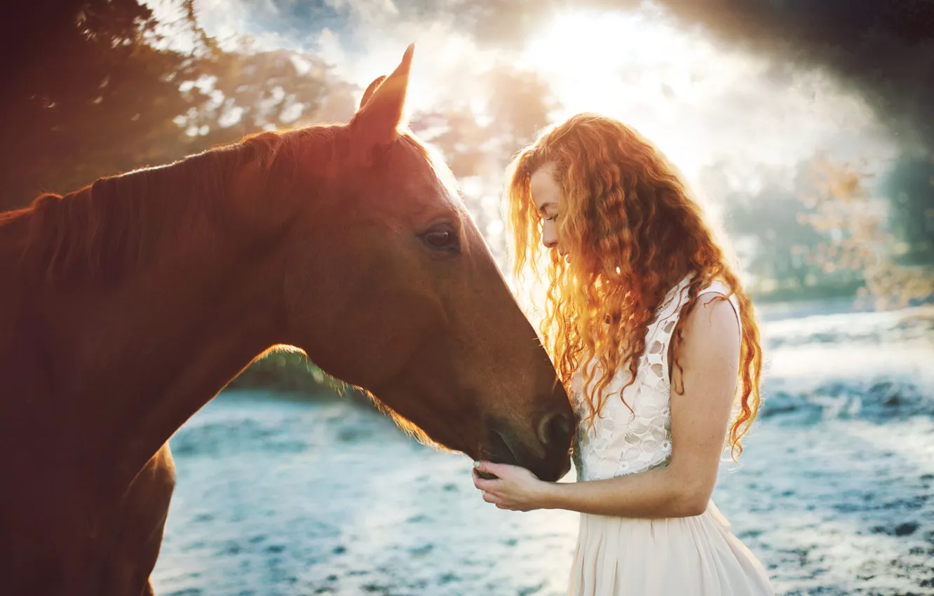 Photo wallpaper girl, light, horse, horse, portrait, red