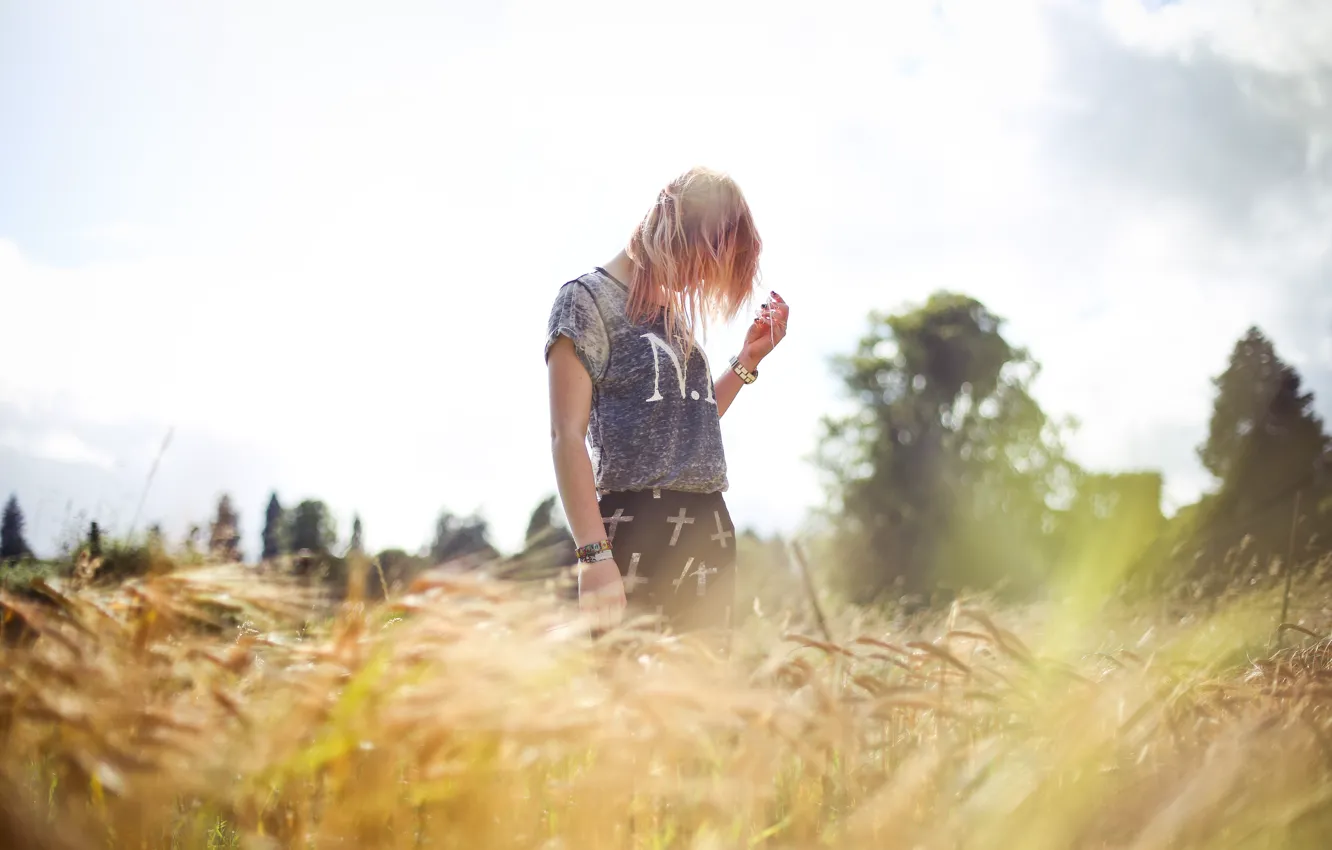 Photo wallpaper field, grass, trees, blonde, grass, trees, field, bokeh