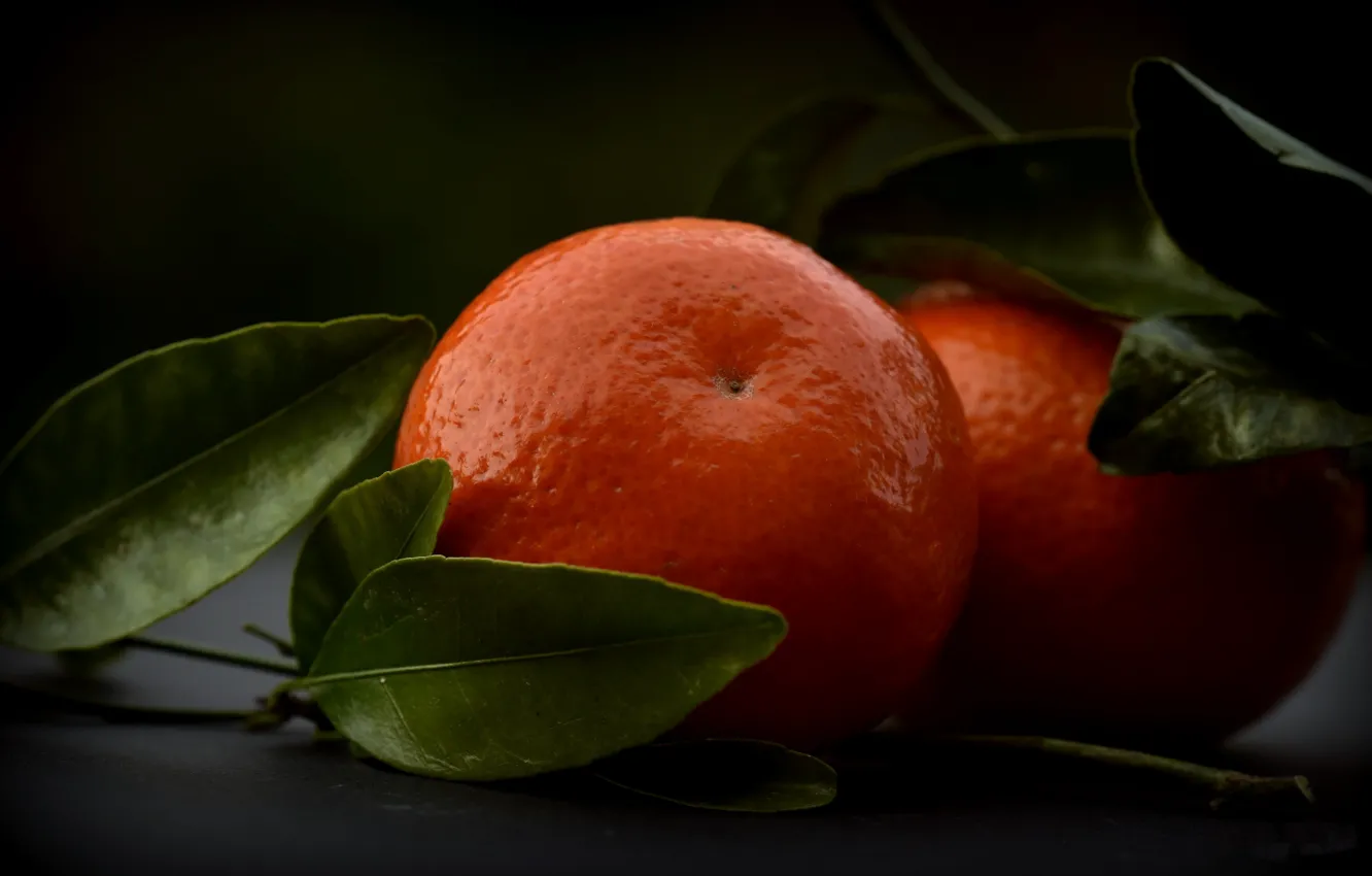 Photo wallpaper background, fruit, tangerines
