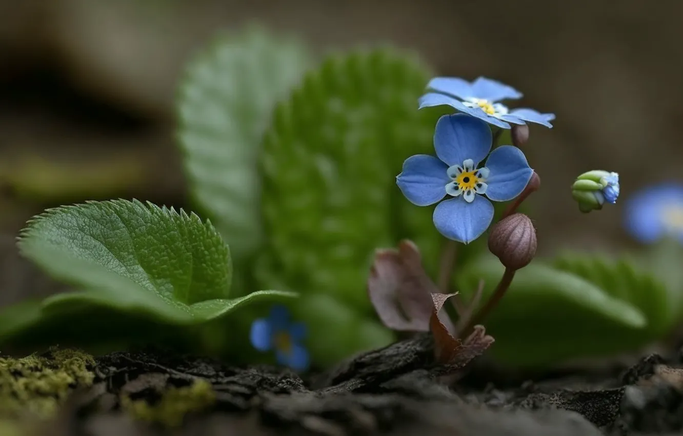 Photo wallpaper leaves, flowers, blue, spring, forget-me-nots, AI art, neural network