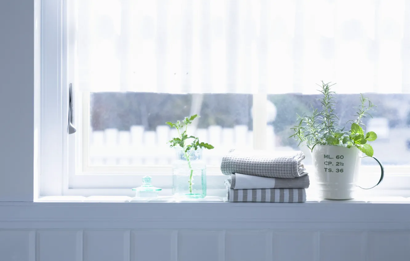 Photo wallpaper flowers, room, interior, towel, plants, window, apartment