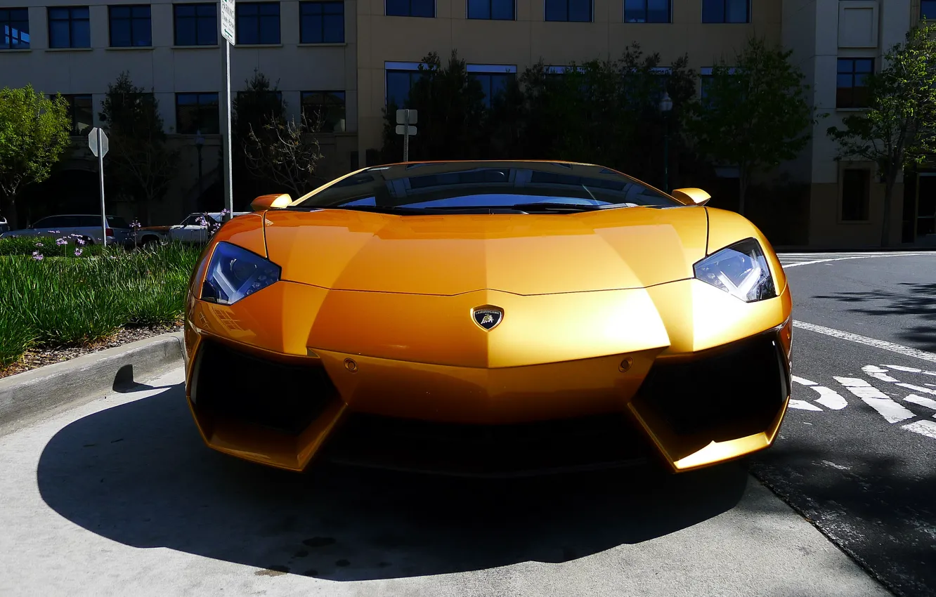 Photo wallpaper reflection, yellow, shadow, lamborghini, yellow, the front, aventador, lp700-4