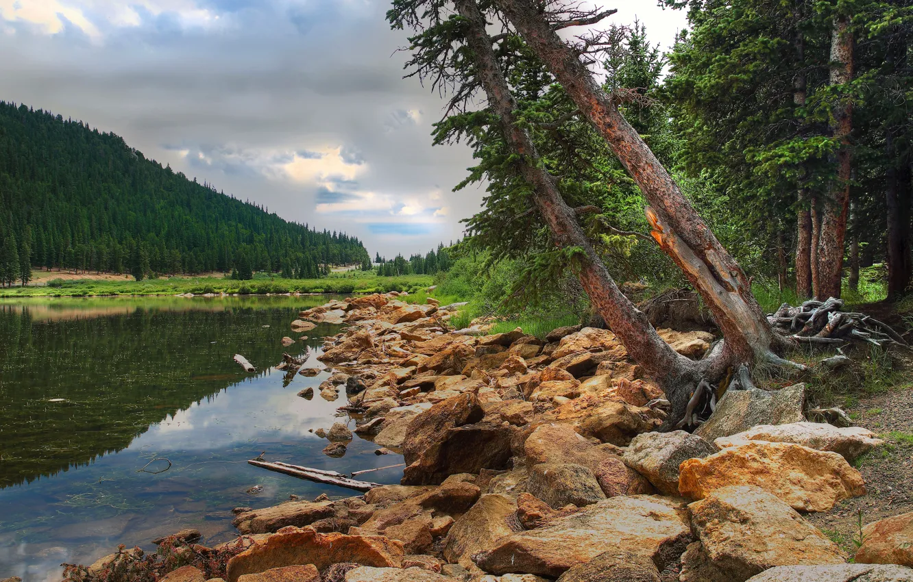 Photo wallpaper forest, the sky, mountains, lake, stones