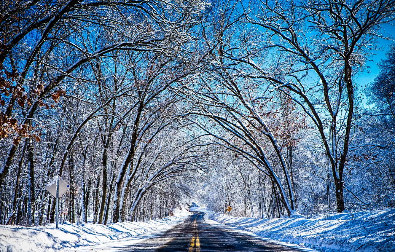 Photo wallpaper winter, road, the sky, snow, trees, tunnel