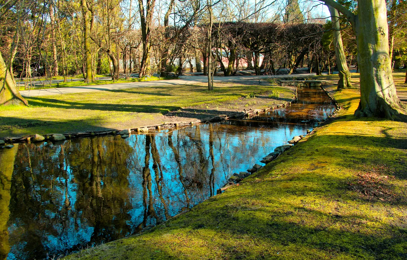 Photo wallpaper water, park, pond