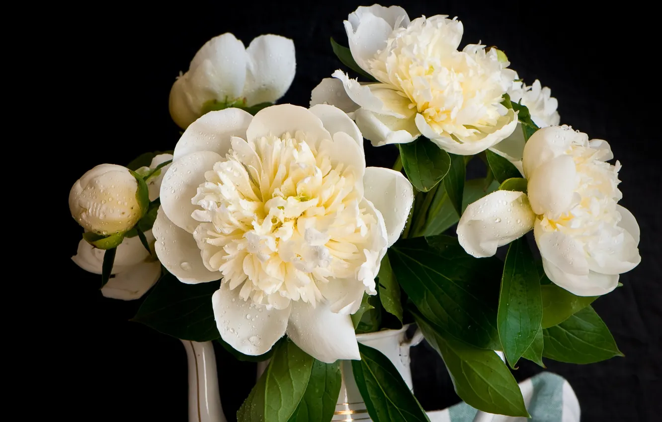 Photo wallpaper drops, white, peonies