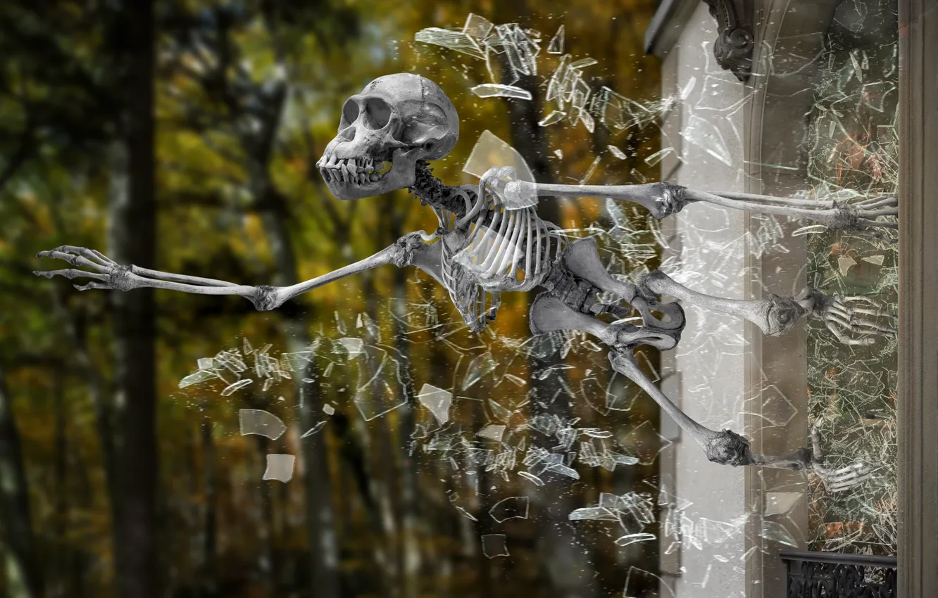 Photo wallpaper glass, fragments, skull, skeleton