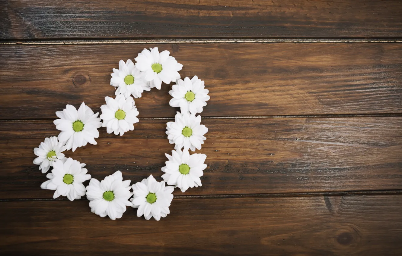 Photo wallpaper love, flowers, heart, chamomile, love, white, heart, wood