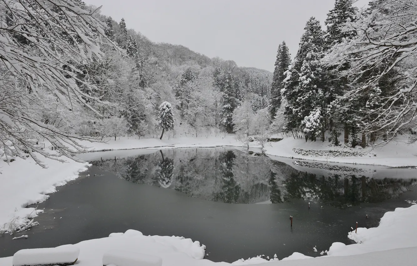 Photo wallpaper winter, snow, trees, pond, polynya