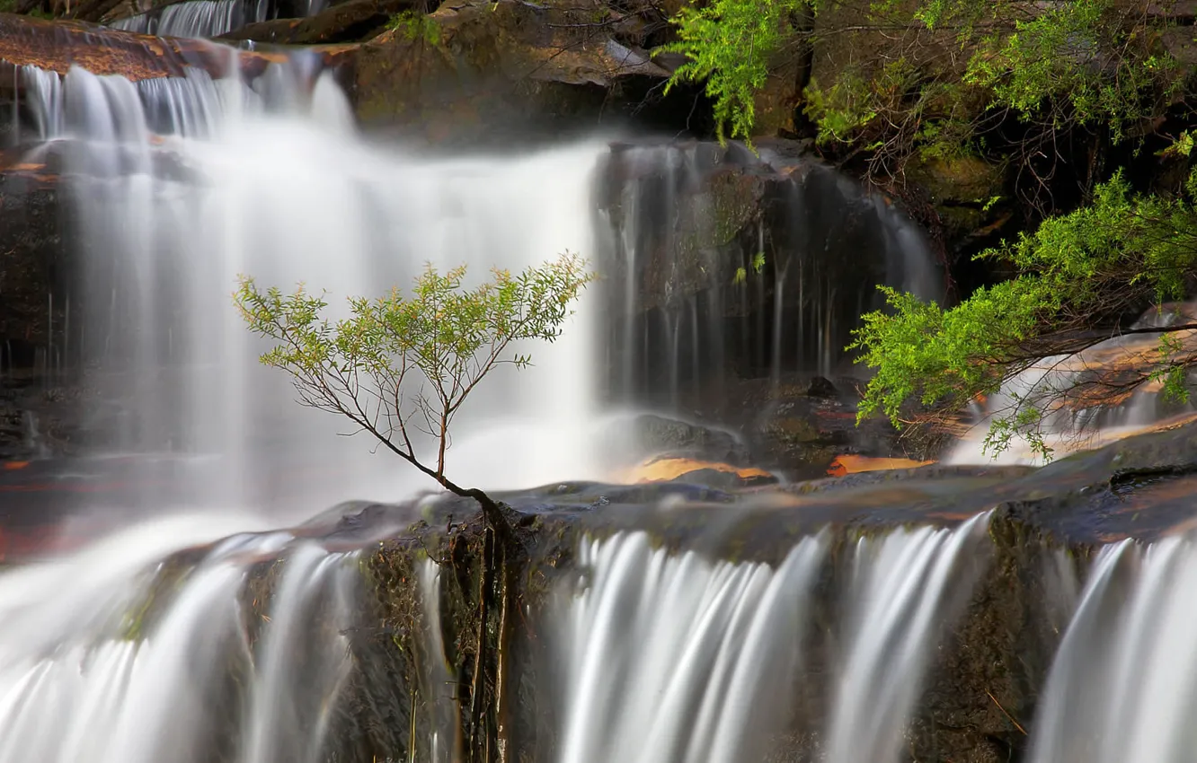 Photo wallpaper waterfall, Australia, New South Wales, Blue mountains, Wentworth