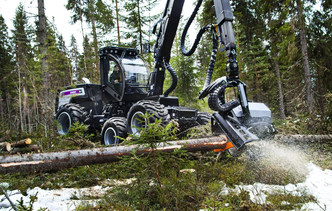 Photo wallpaper forest, trees, wheel, cabin, log, sawdust, chips, forestry equipment