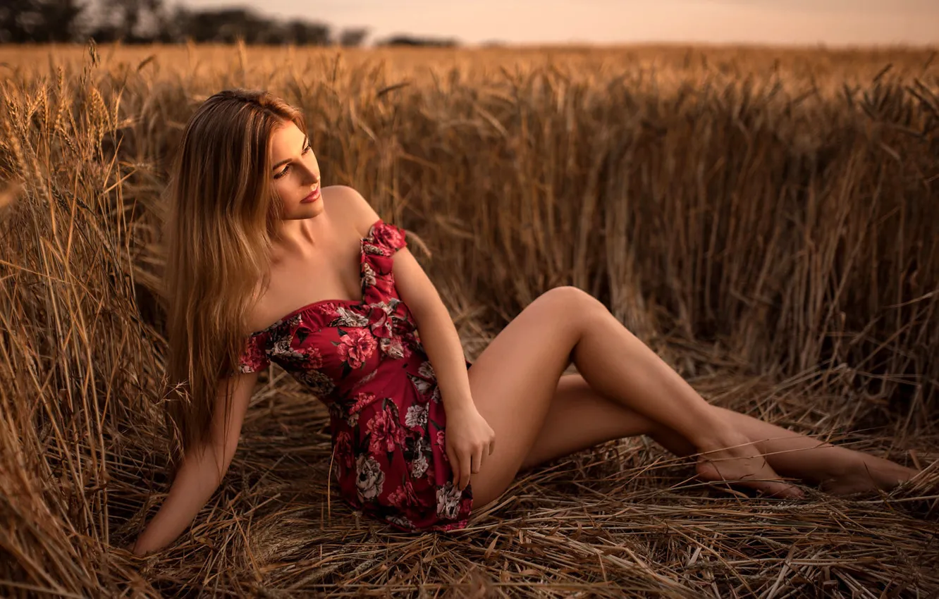 Photo wallpaper wheat, field, the sun, pose, model, portrait, makeup, figure