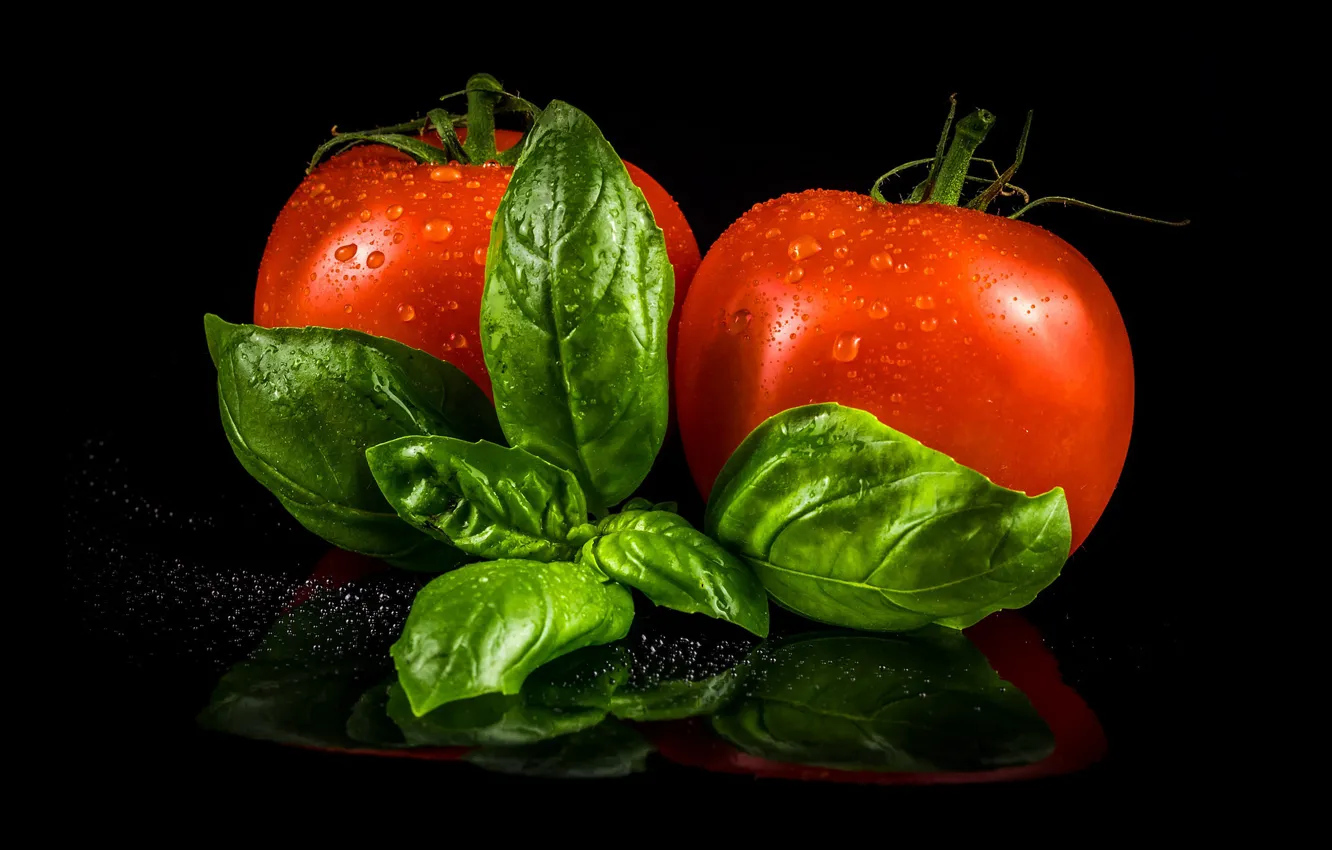 Photo wallpaper greens, leaves, drops, red, reflection, table, two, pair
