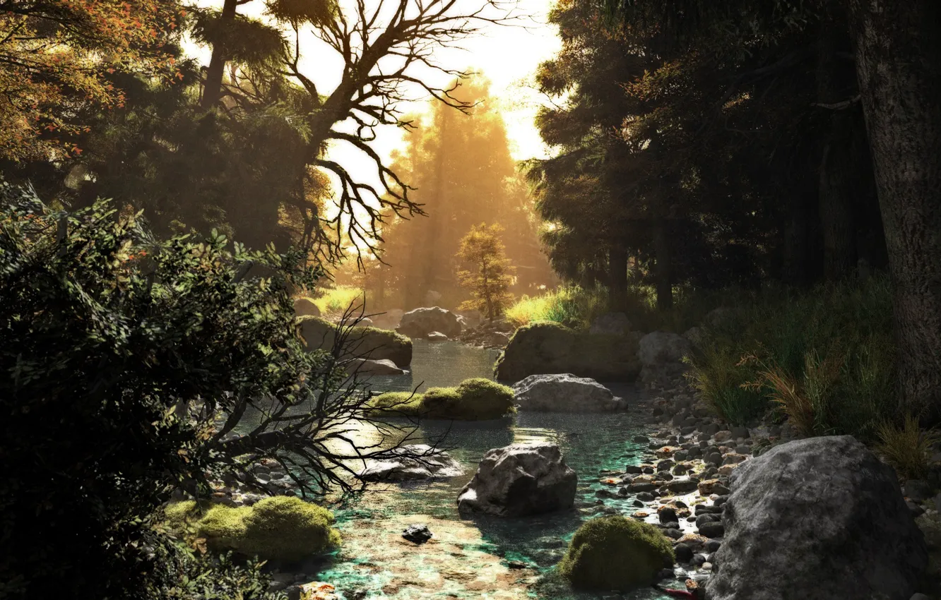 Photo wallpaper forest, trees, sunset, nature, river, stream, stones, art