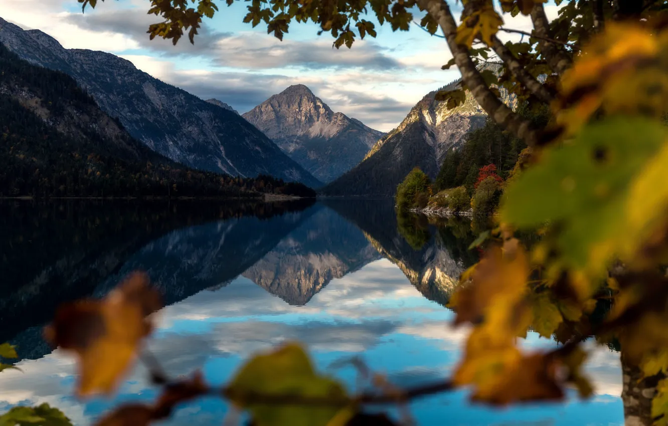Photo wallpaper landscape, mountains, branches, nature, lake, reflection, tree, Austria