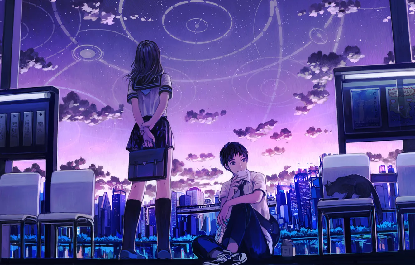 Photo wallpaper the sky, girl, the evening, guy