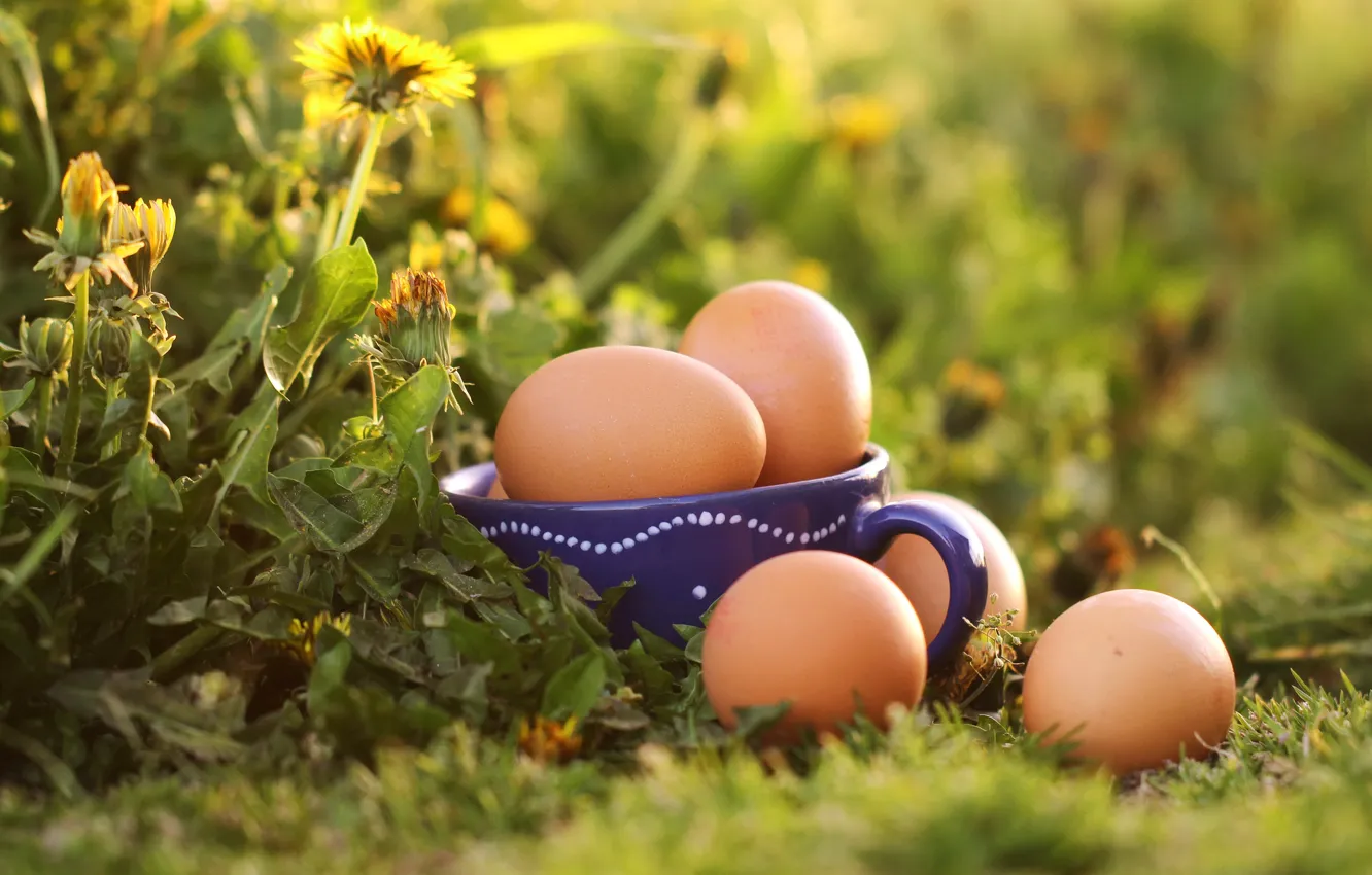 Photo wallpaper flowers, dandelion, glade, eggs, spring, Easter, mug