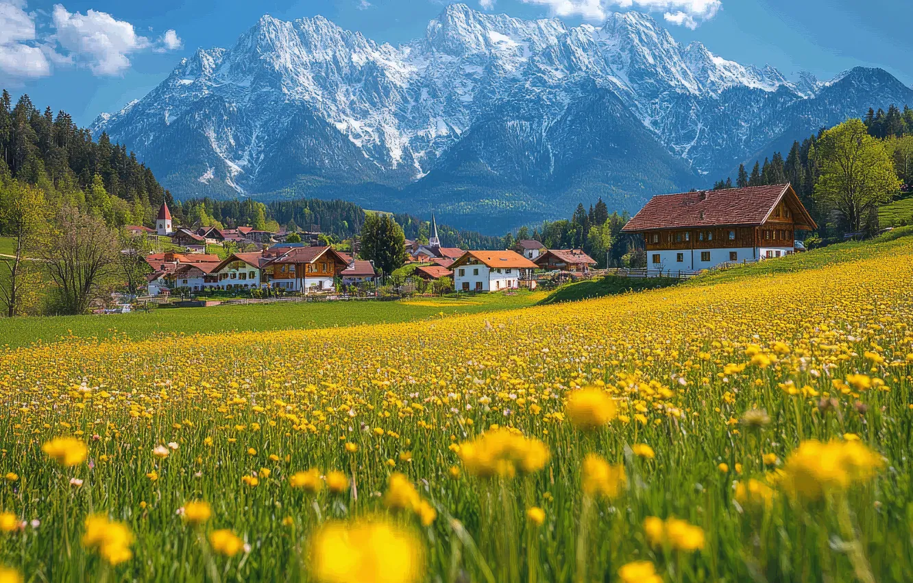Photo wallpaper field, forest, summer, clouds, flowers, mountains, yellow, blue