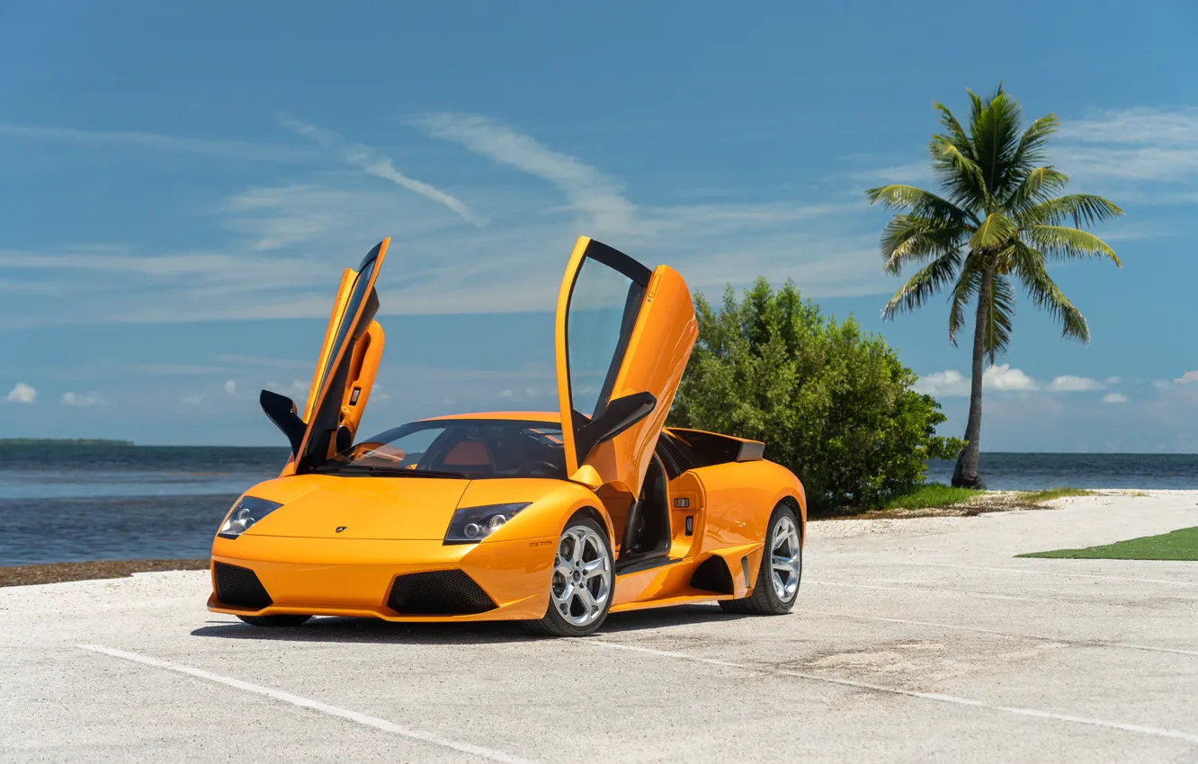 Photo wallpaper orange, Lamborghini, Lambo, Murcielago, Lamborghini Murcielago LP640