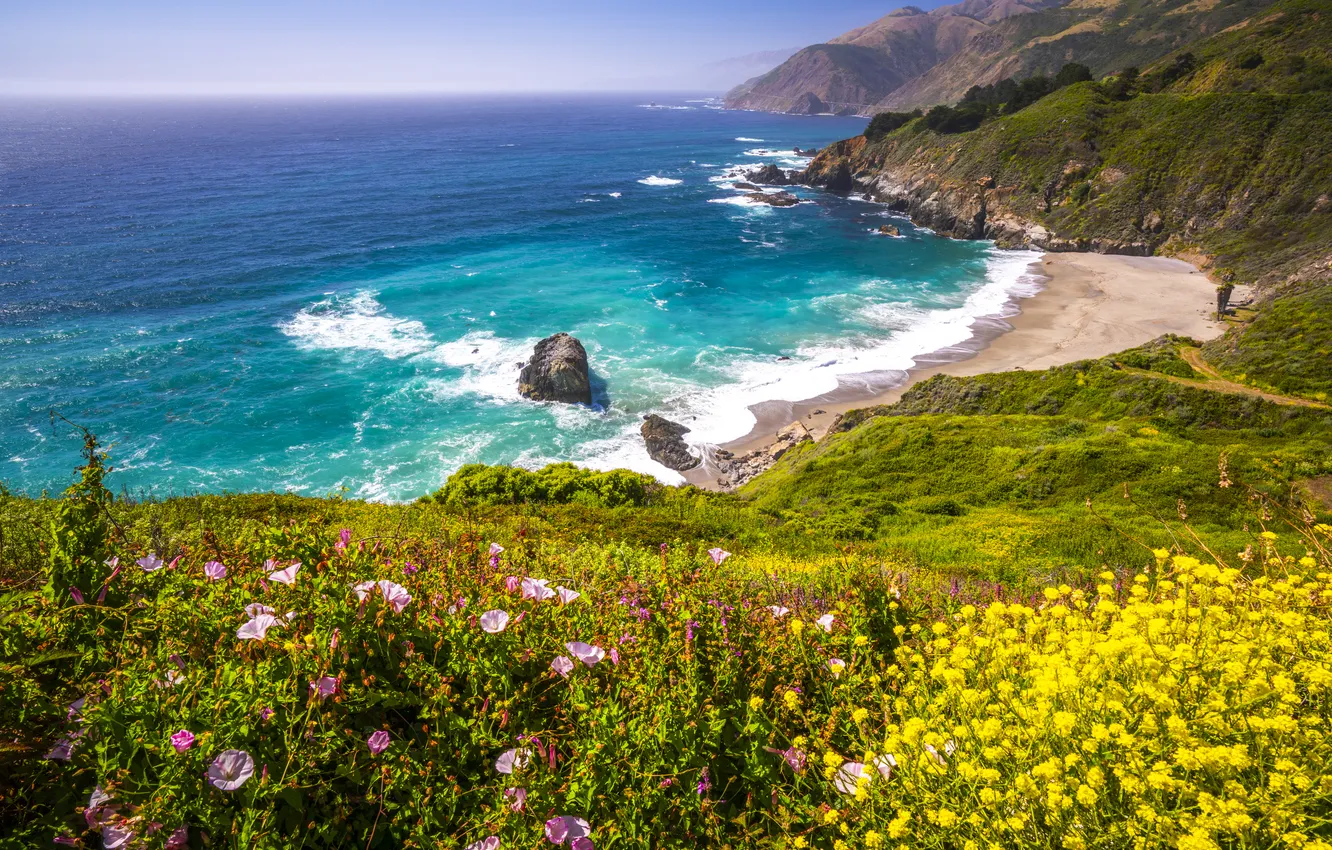 Photo wallpaper sea, flowers, rocks, shore, view