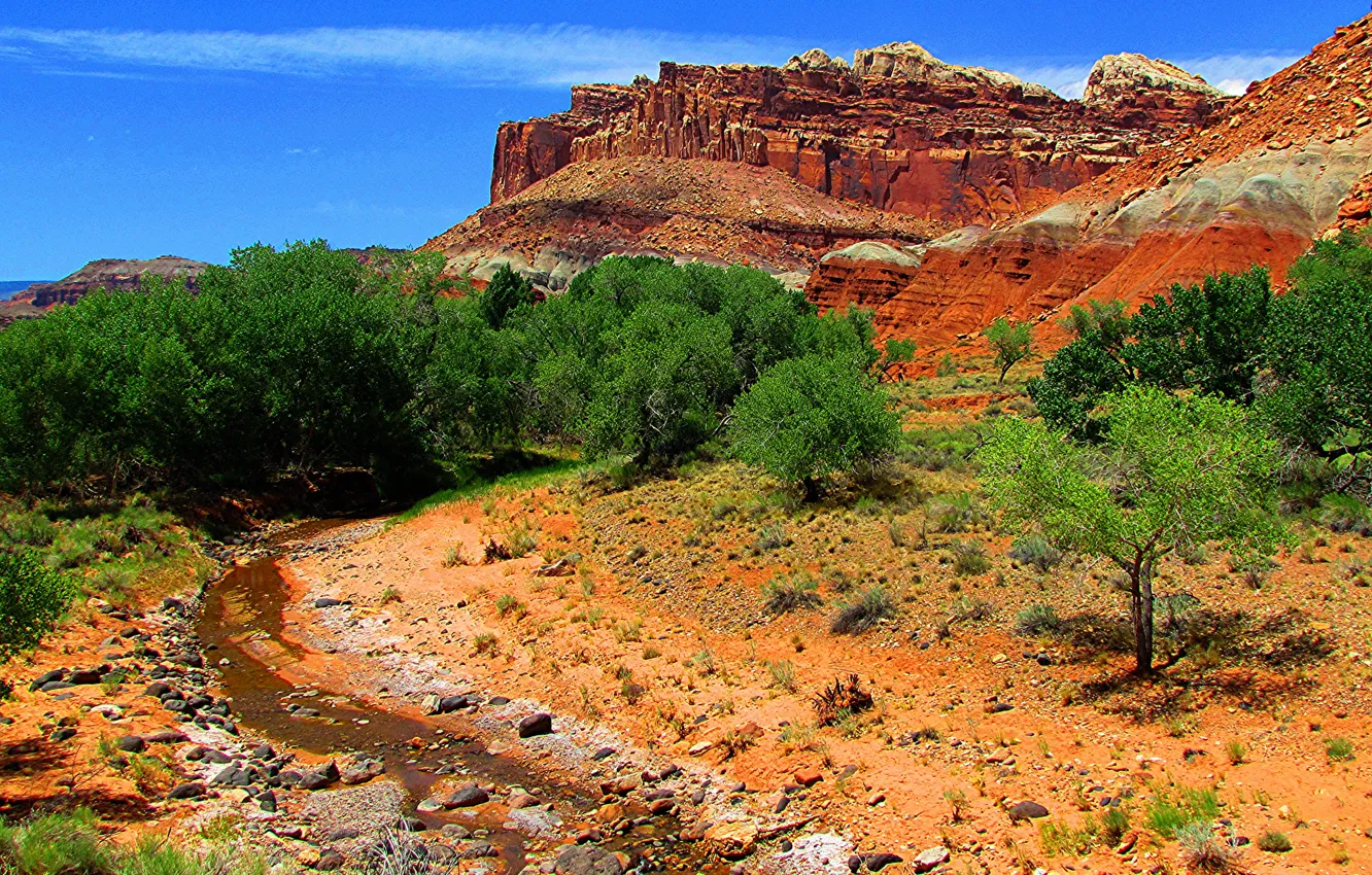 Photo wallpaper the sky, trees, stream, rocks