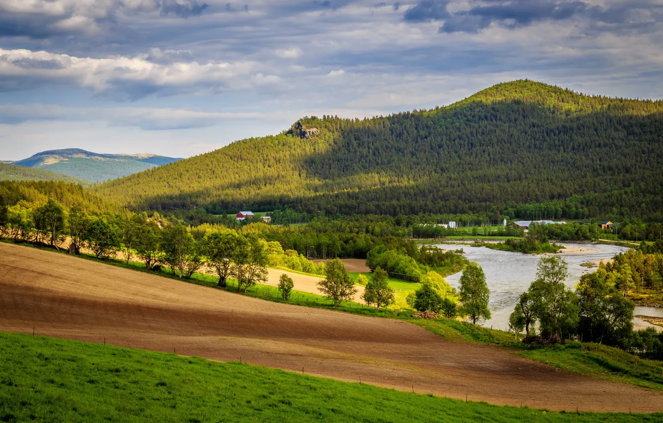 Photo wallpaper field, forest, trees, mountains, river, meadow, Norway, house